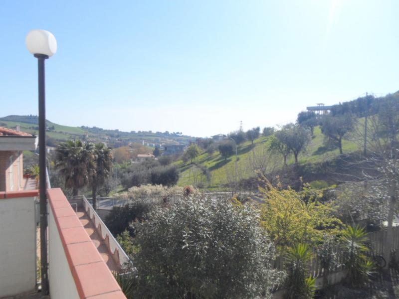 immagine annuncio 11 di 14