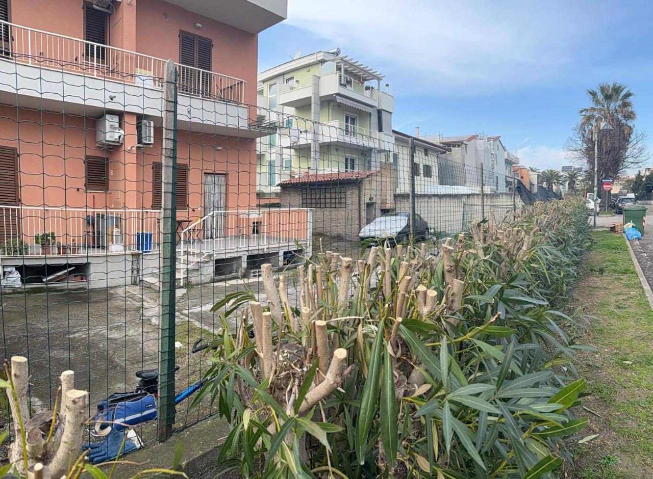 immagine annuncio 1 di 2