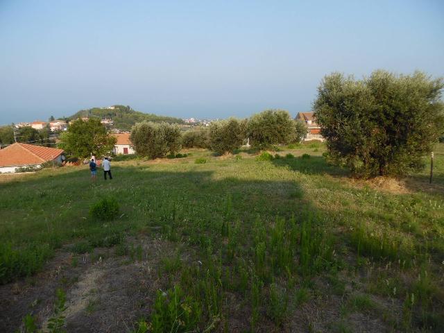 insertion image