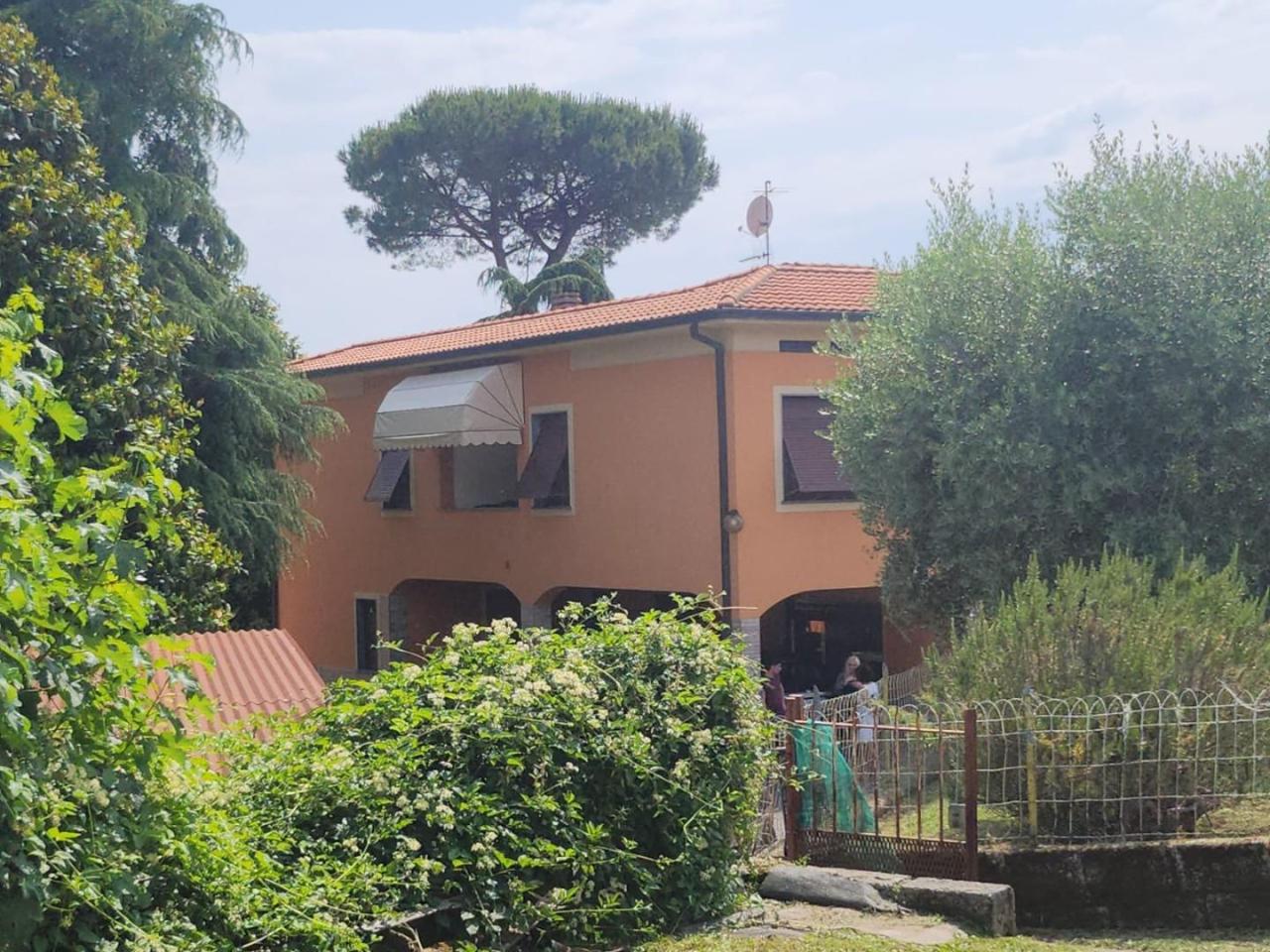 immagine annuncio 2 di 14
