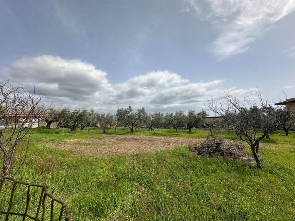 Terreno edificabile residenziale in vendita a Catanzaro