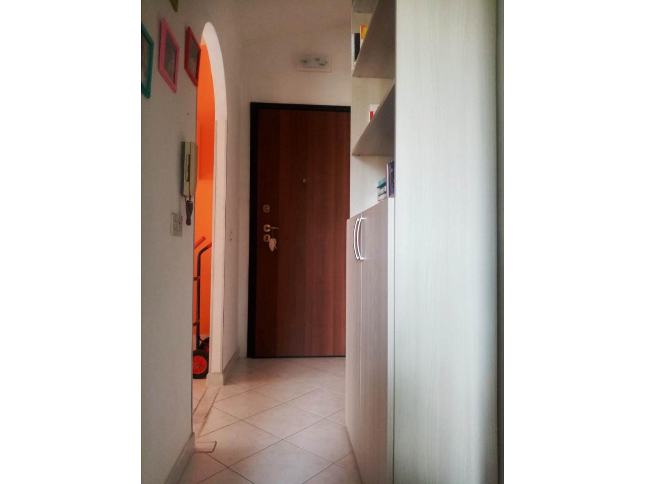 immagine annuncio 7 di 11