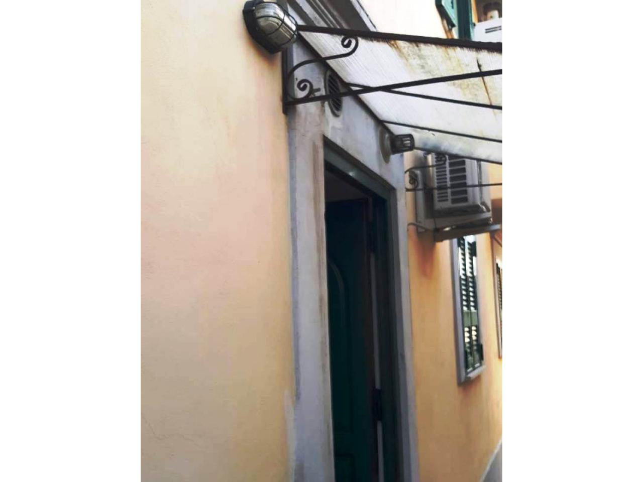 immagine annuncio 3 di 14