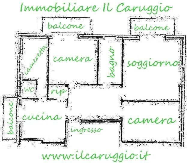 immagine annuncio 14 di 15