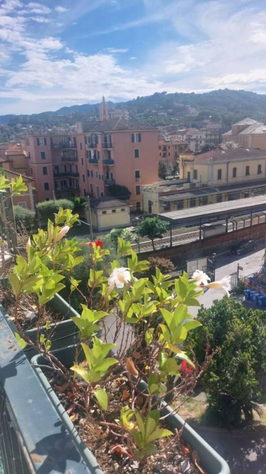 immagine annuncio 2 di 14