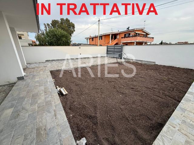 insertion image