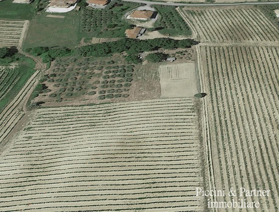 Terreno agricolo in vendita a Montepulciano