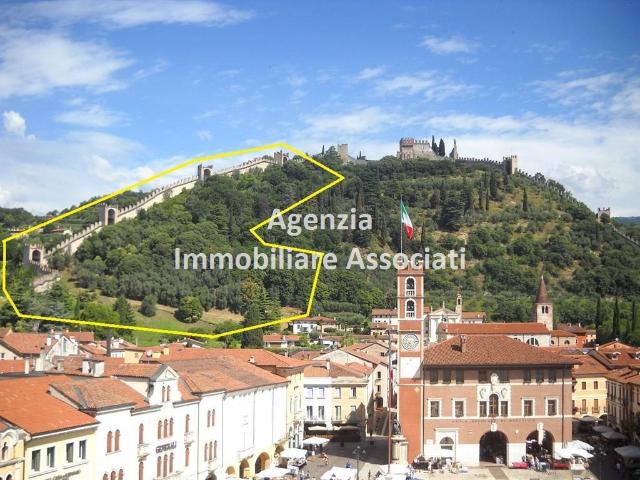 insertion image