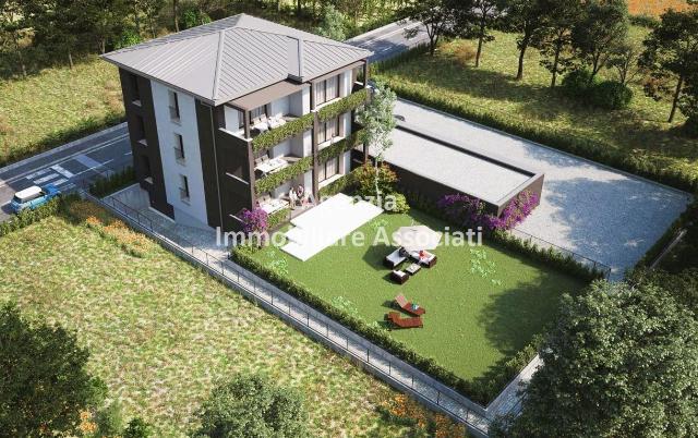 insertion image