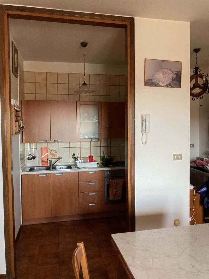 immagine annuncio 6 di 13