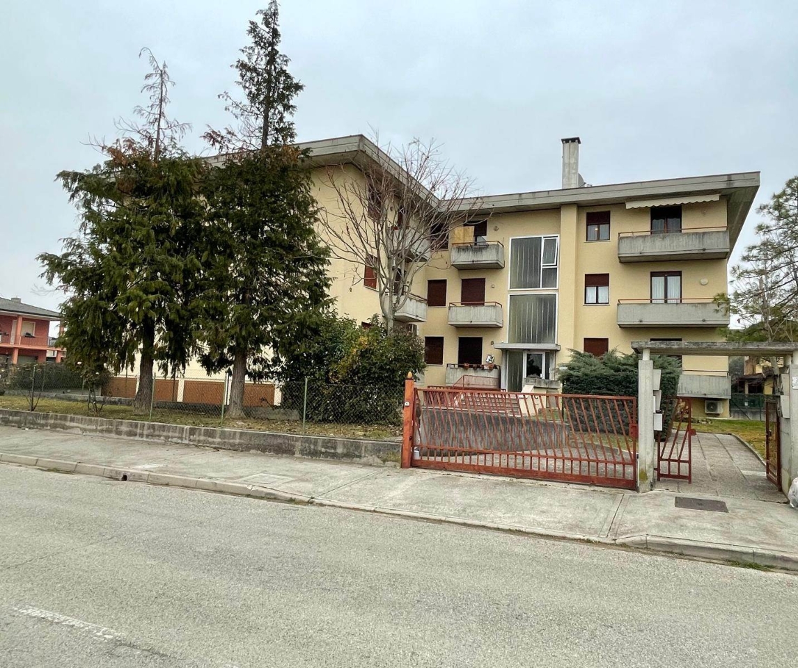 immagine annuncio 12 di 13