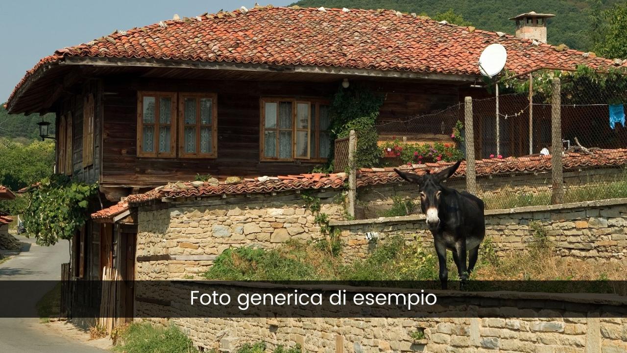 Azienda agricola in , Venezia, {3} - Foto 1