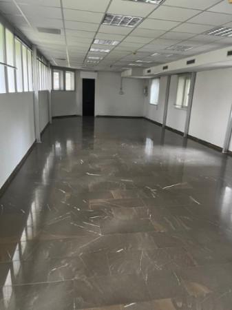 Magazzino in , Udine, {3} - Foto 2