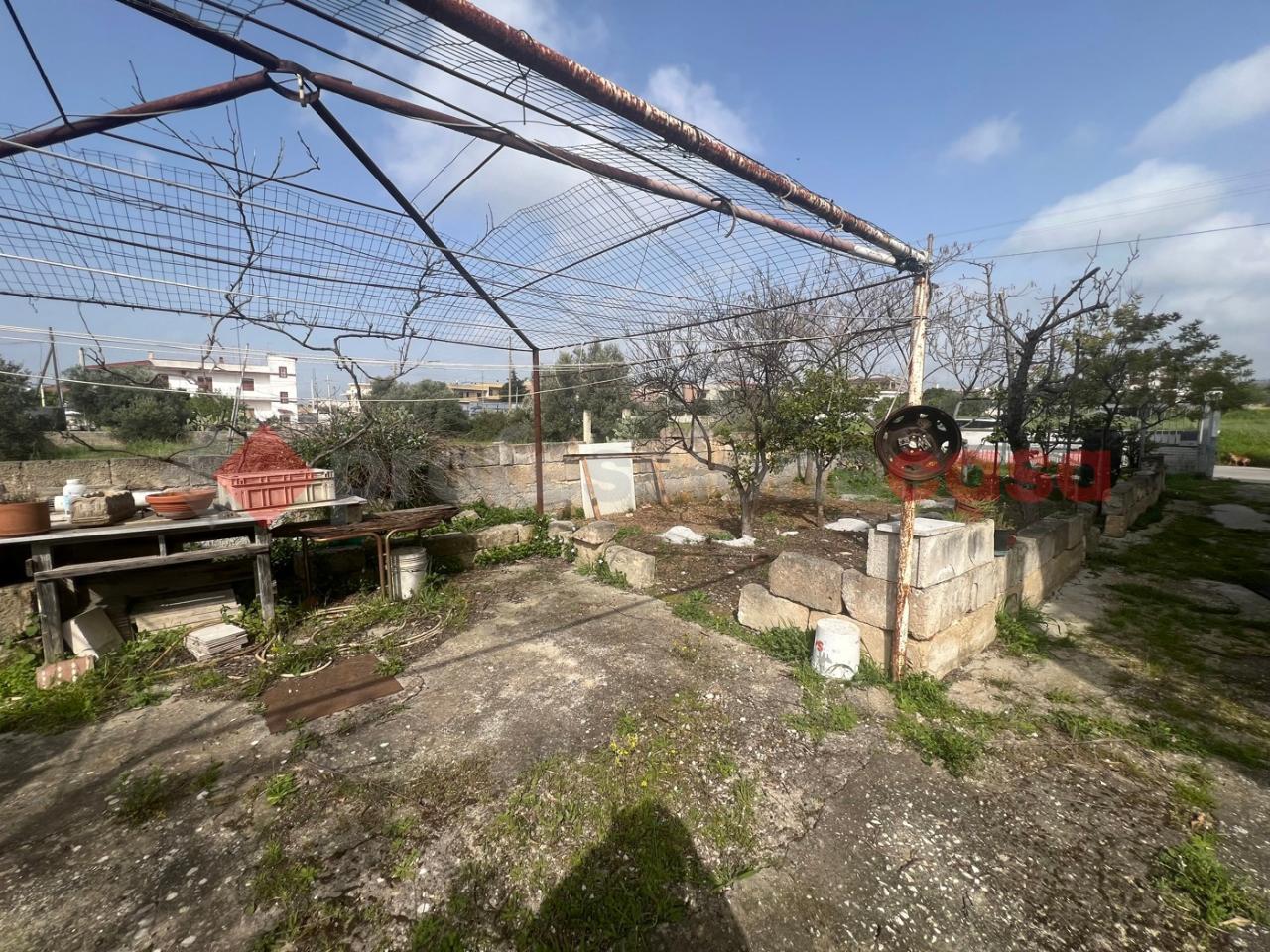 immagine annuncio 7 di 12