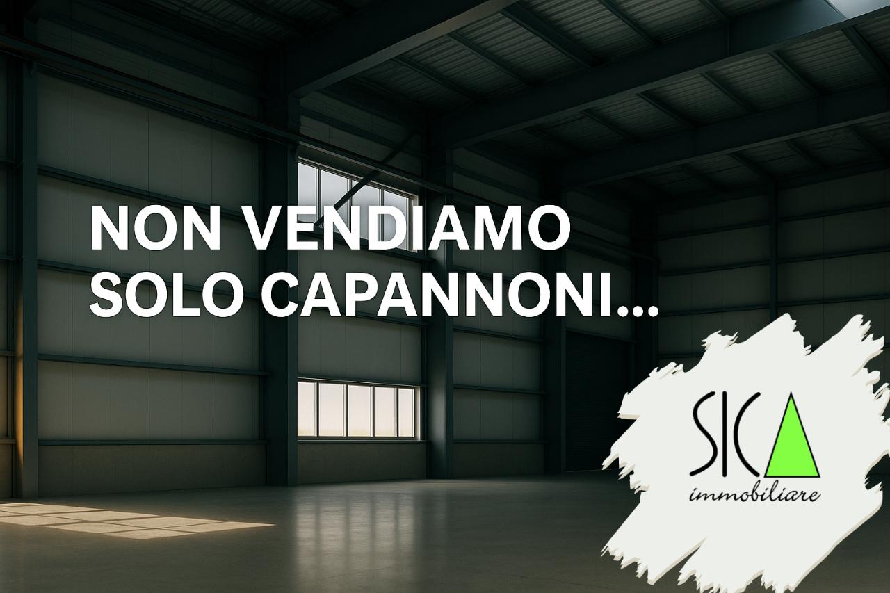 Capannone in , Pietrasanta, {3} - Foto 2