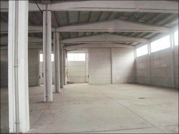 Capannone in Lagoscuro Zona Industriale Ceparana, Bolano, {3} - Foto 1