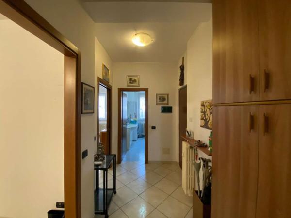 immagine annuncio 7 di 14