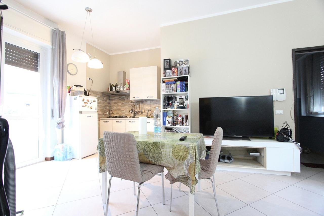 immagine annuncio 1 di 14