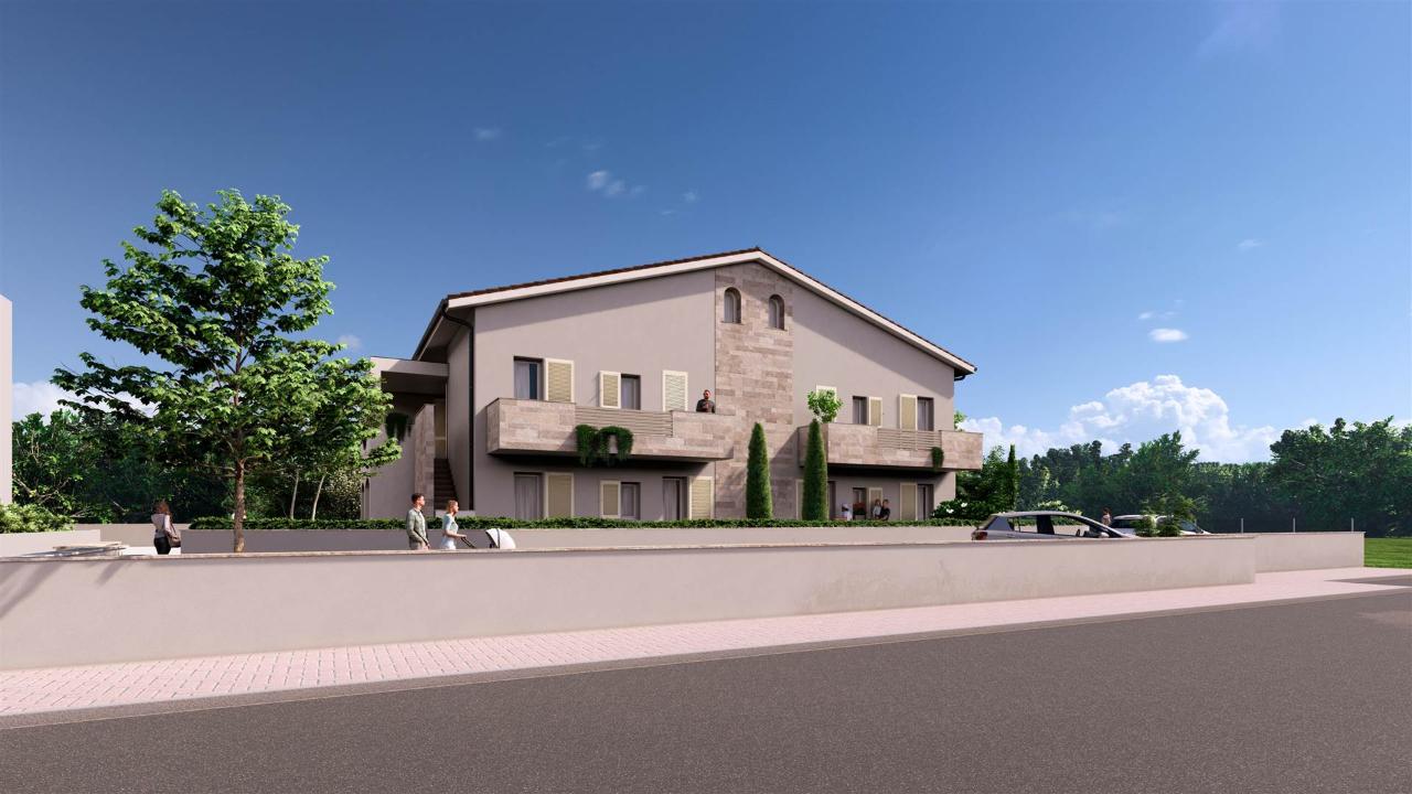 immagine annuncio 6 di 14