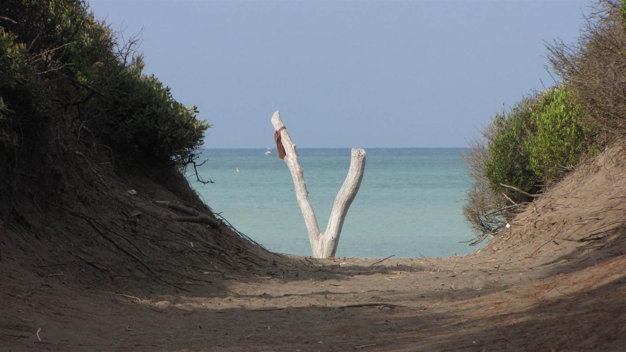 immagine annuncio 12 di 14