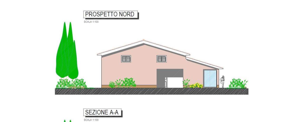 immagine annuncio 4 di 11