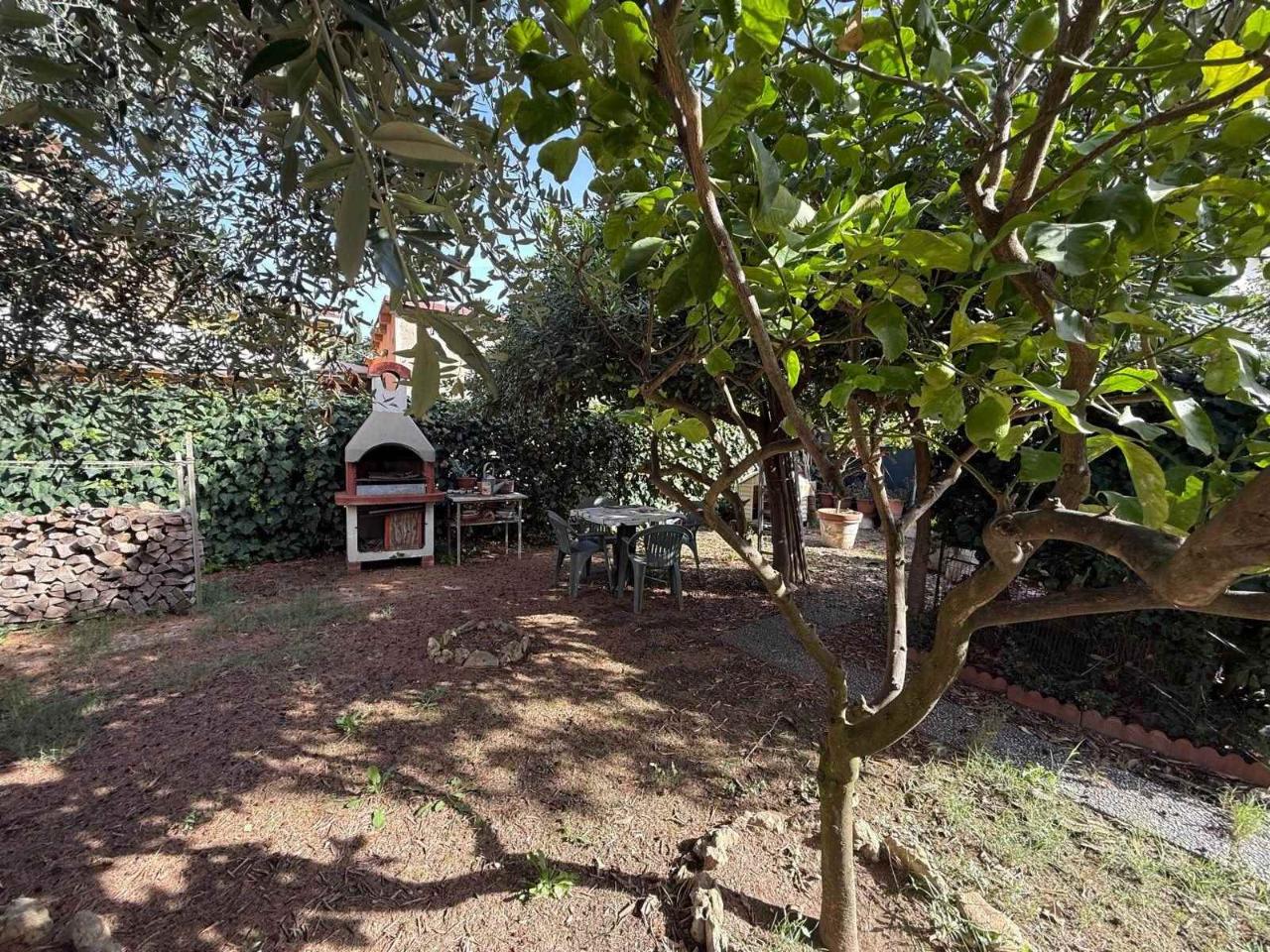 immagine annuncio 2 di 12