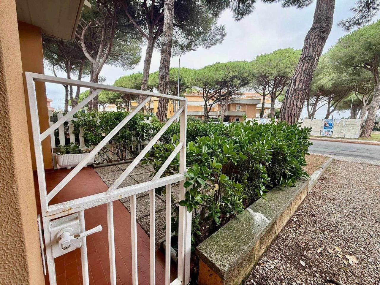 immagine annuncio 7 di 12