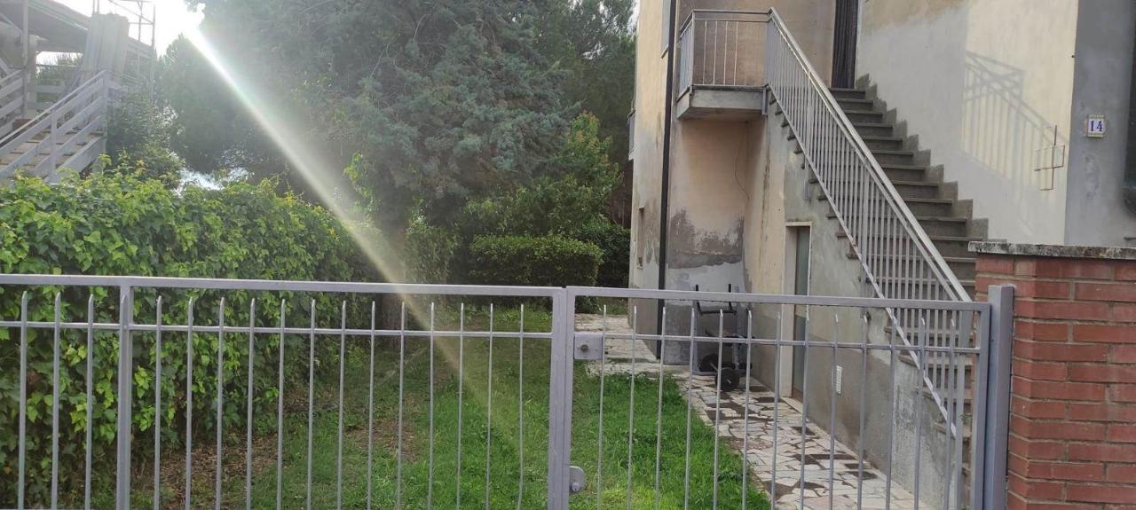 immagine annuncio 8 di 14