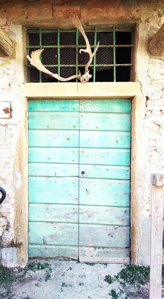 immagine annuncio 10 di 14