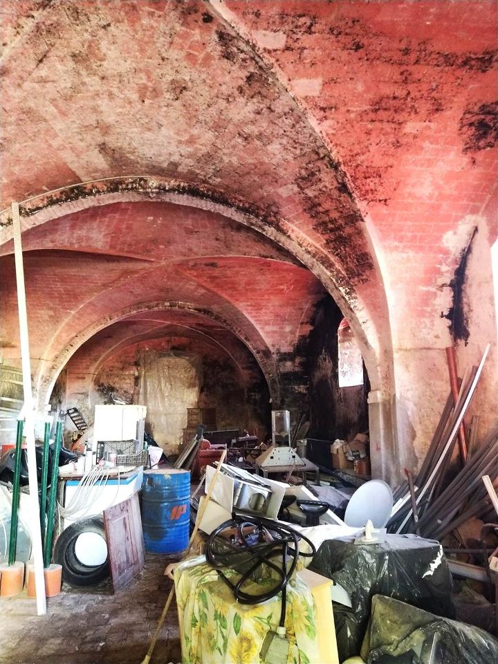 immagine annuncio 12 di 14