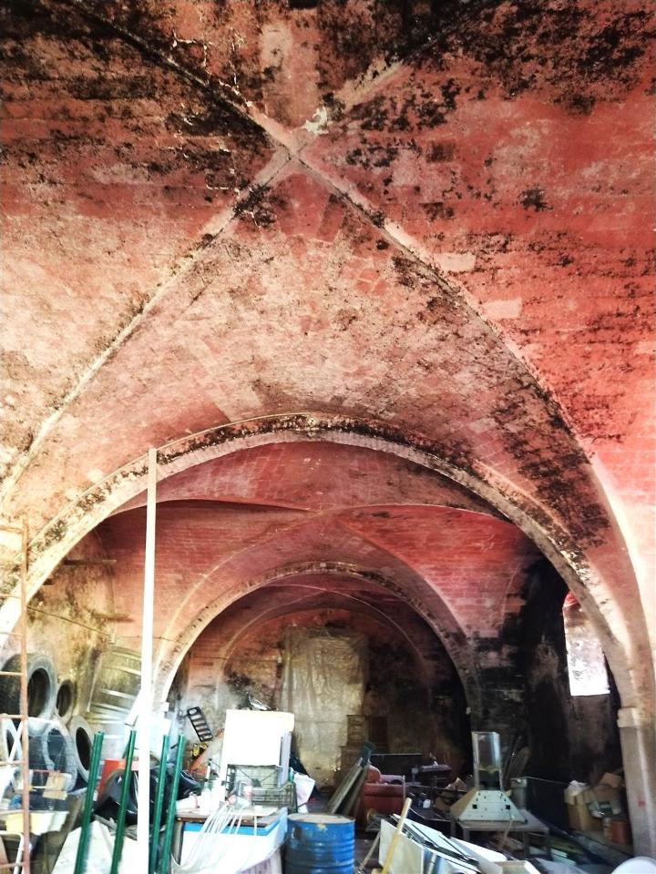 immagine annuncio 11 di 14