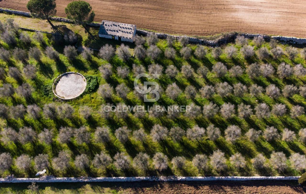 Terreno agricolo in vendita a Castrignano De' Greci