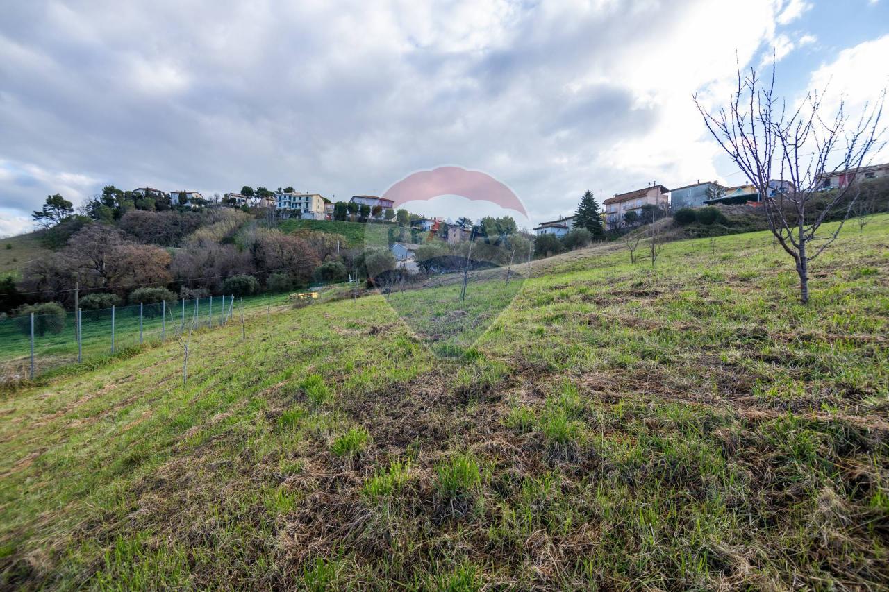 immagine annuncio 6 di 13