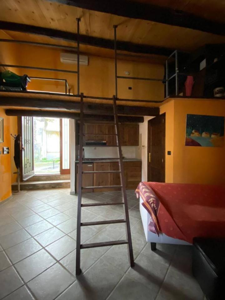 immagine annuncio 3 di 12