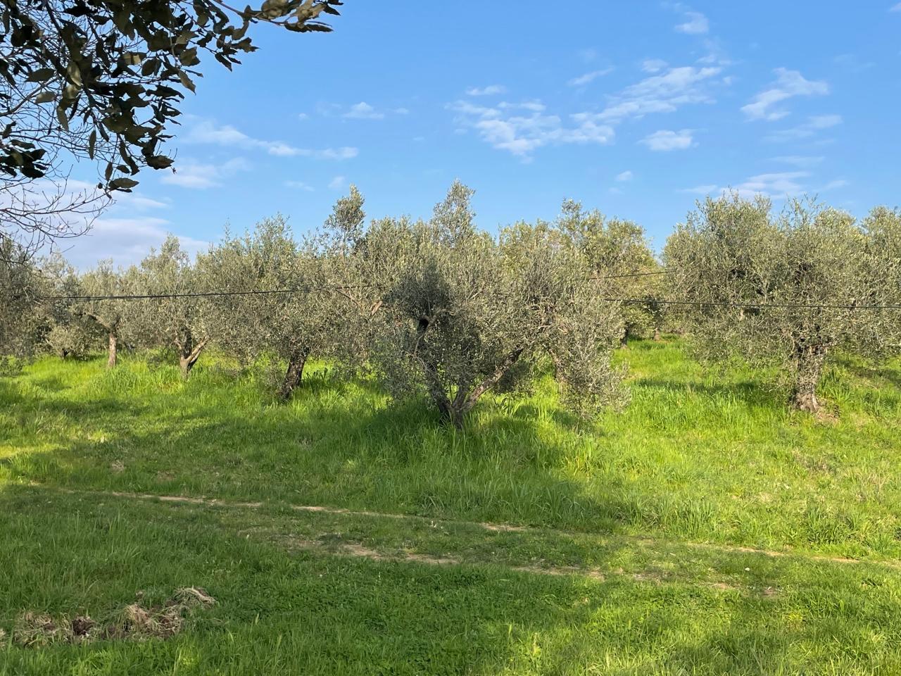 immagine annuncio 7 di 8