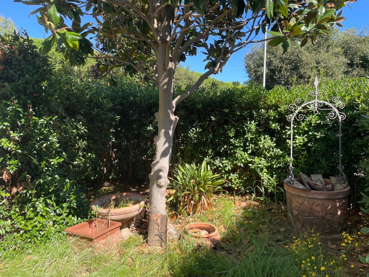 immagine annuncio 1 di 6