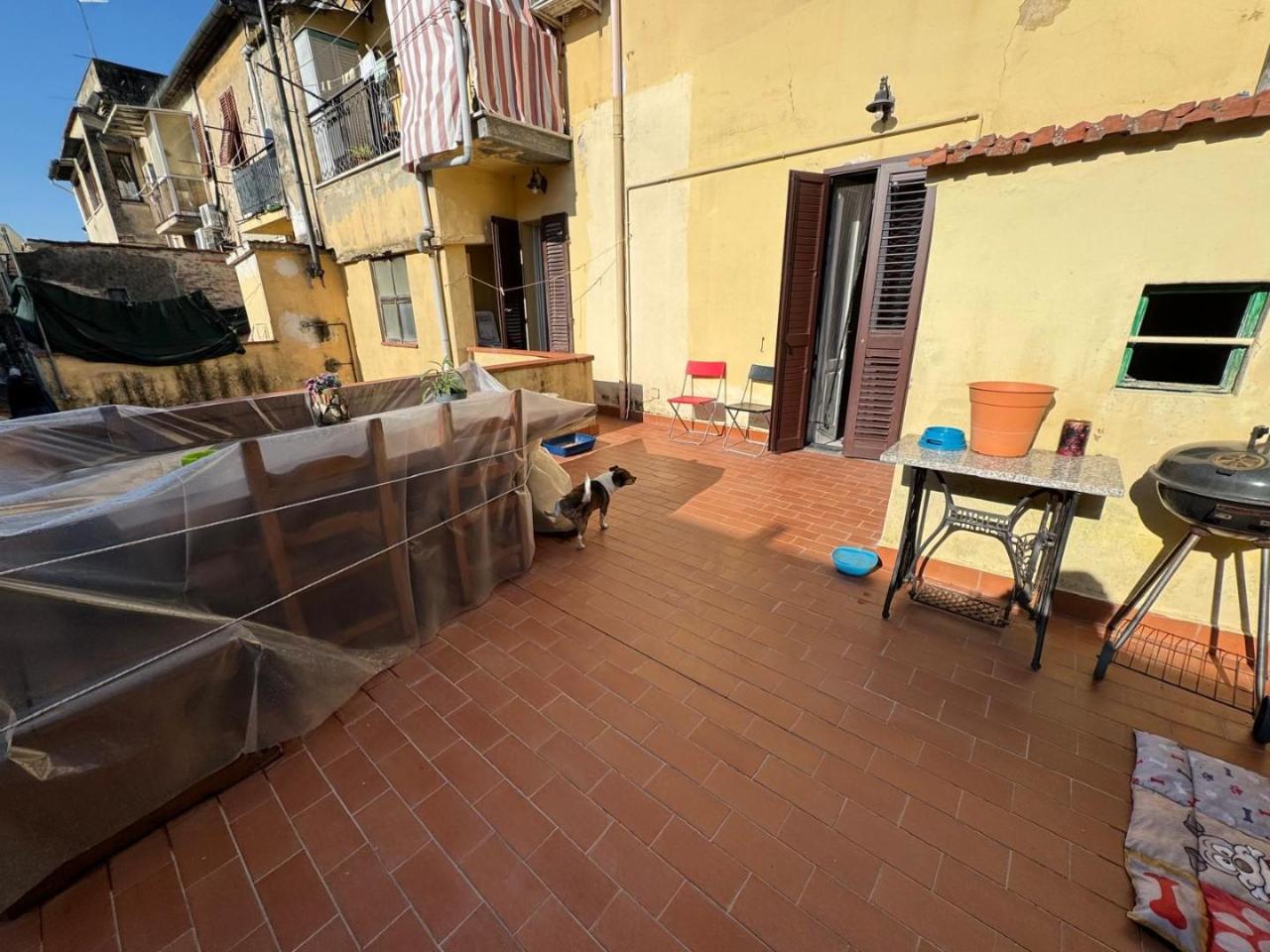 immagine annuncio 10 di 12