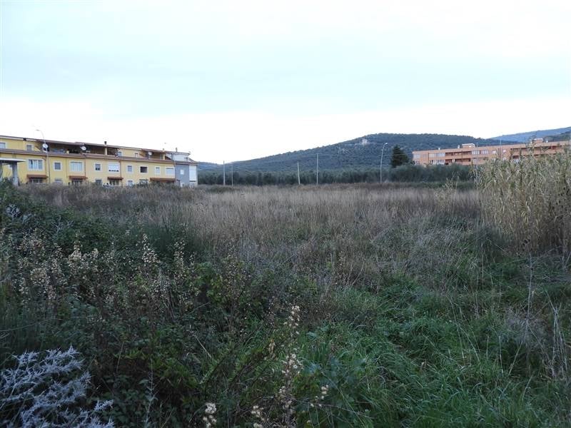 immagine annuncio 2 di 3