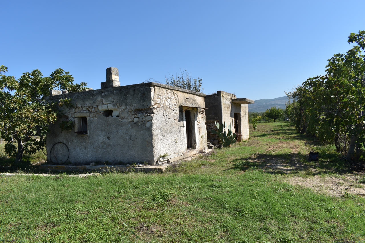 immagine annuncio 3 di 7