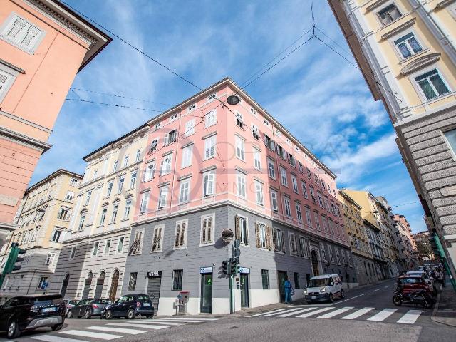 Geschäft in Via Tiziano Vecellio 26, Trieste - Foto 1