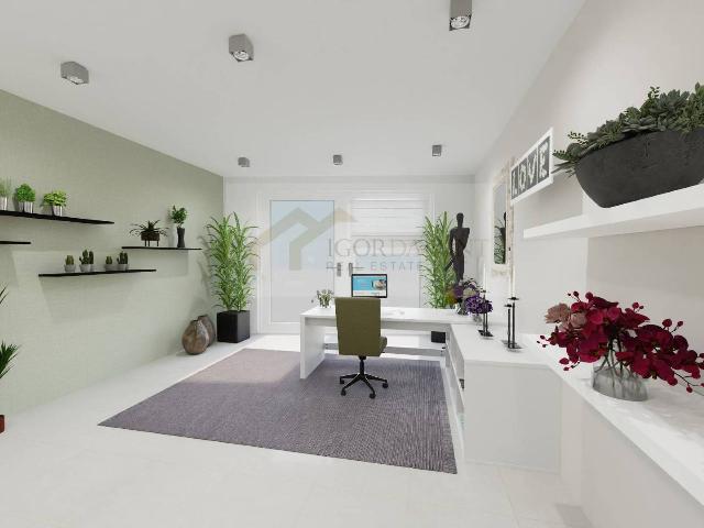 main gallery real estate image