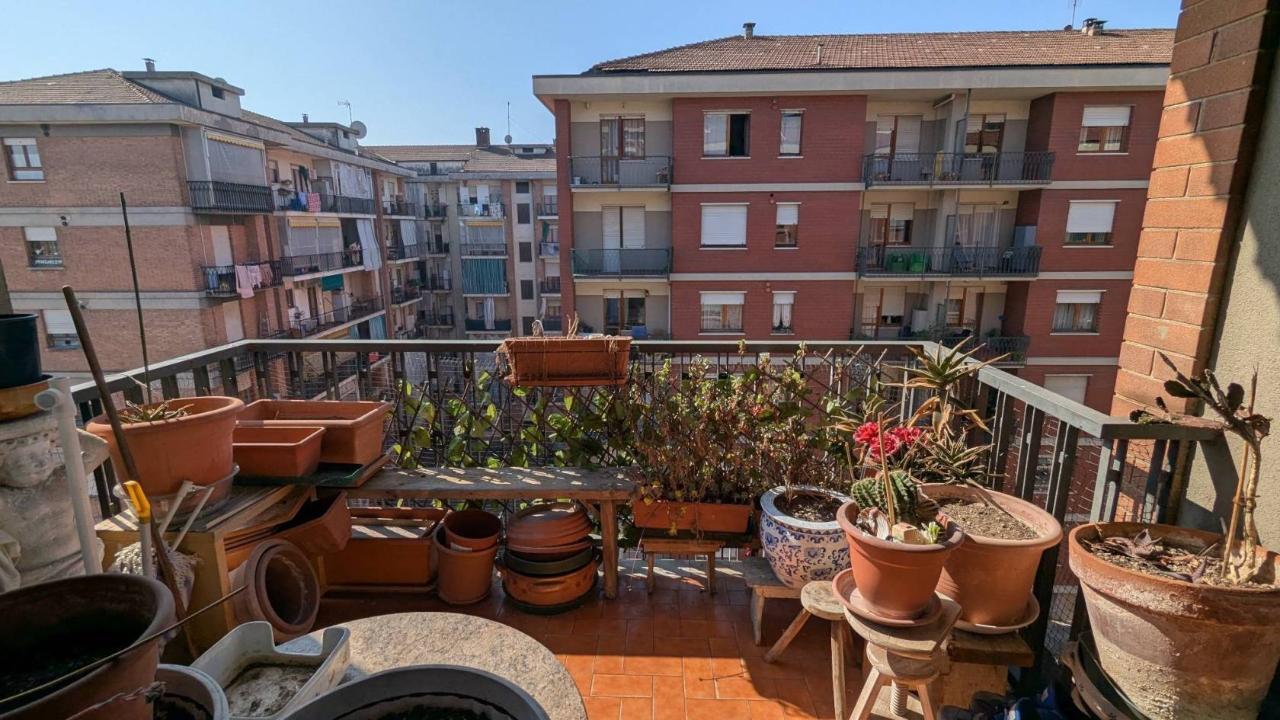 immagine annuncio 10 di 15