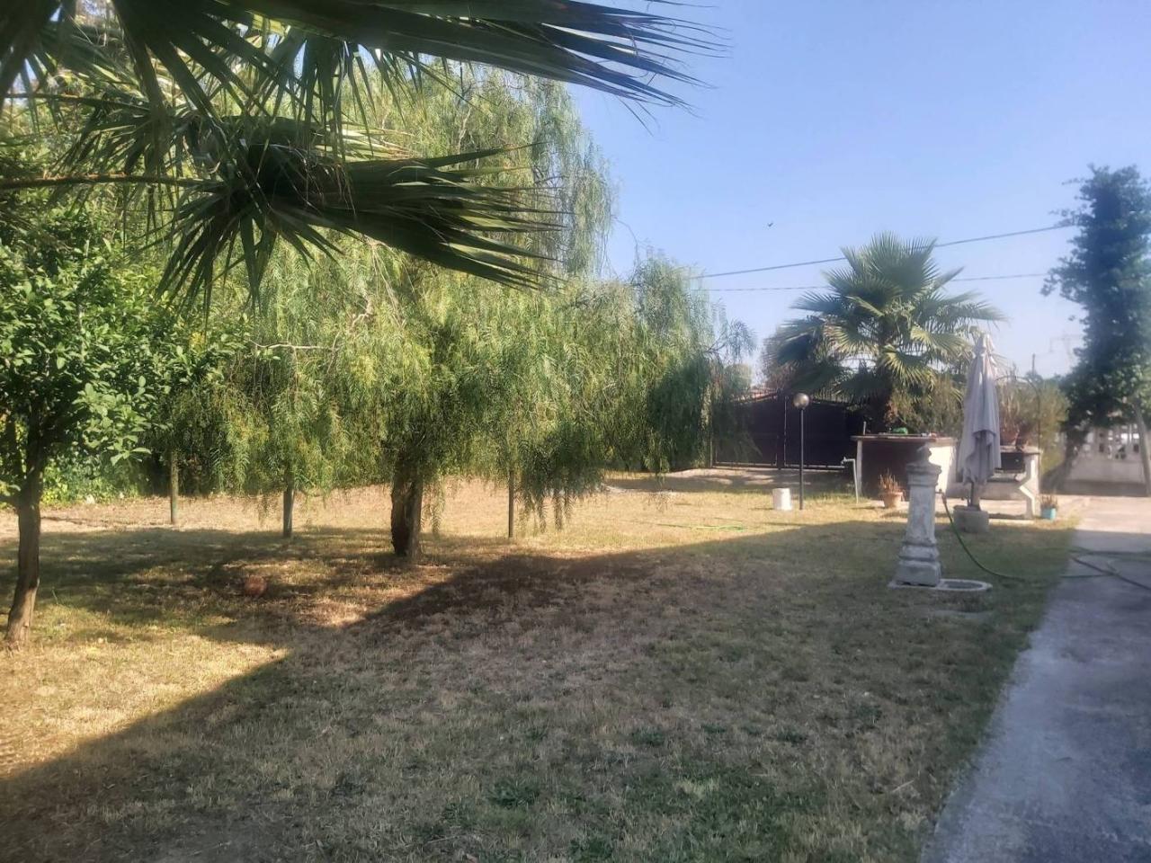 immagine annuncio 3 di 7