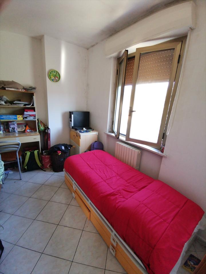 immagine annuncio 6 di 12