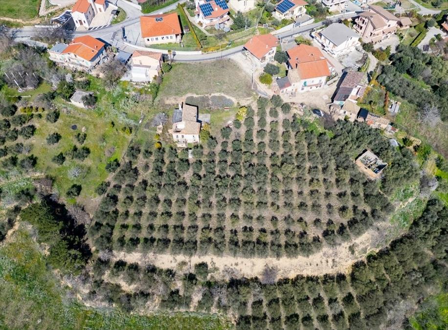 immagine annuncio 2 di 7