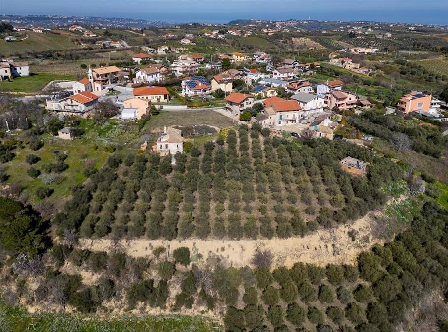 immagine annuncio 6 di 7