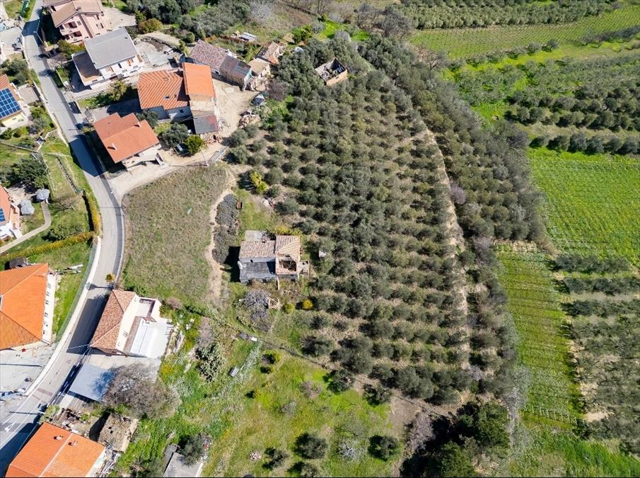 immagine annuncio 1 di 7