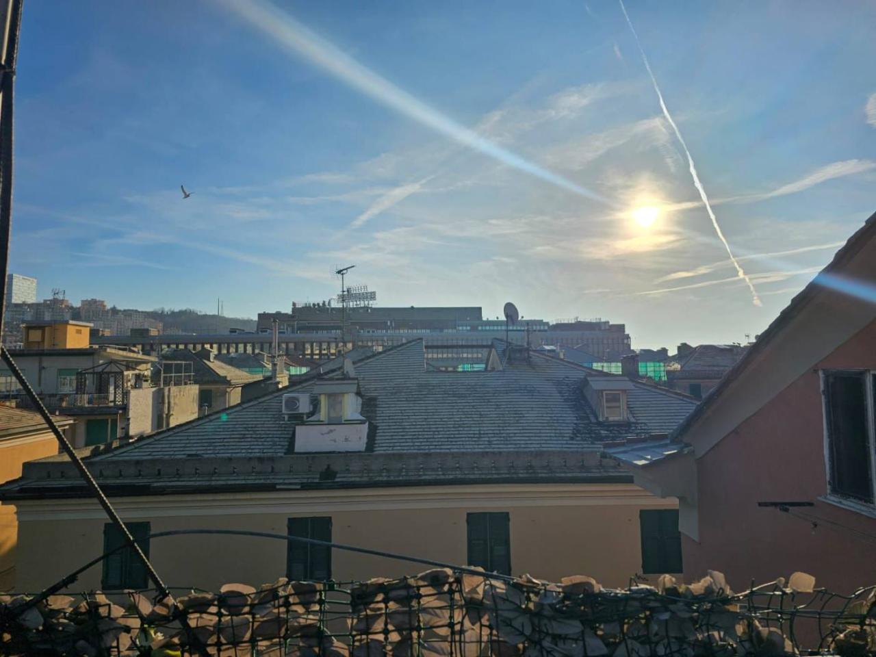 immagine annuncio 13 di 14