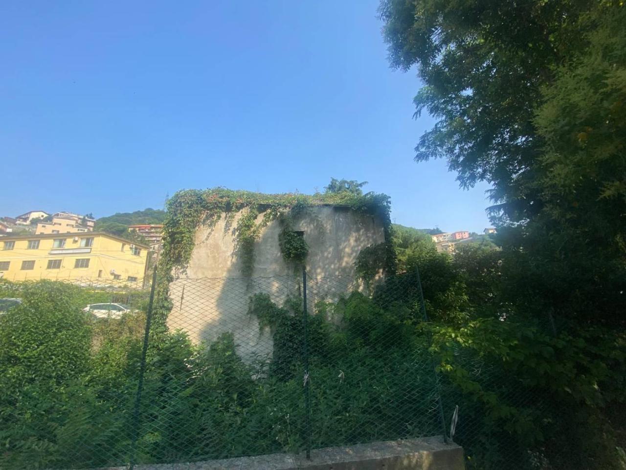 immagine annuncio 3 di 8