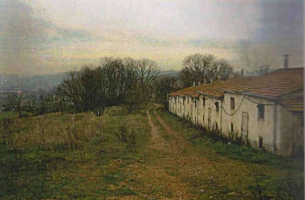 immagine annuncio 5 di 6